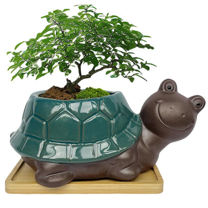 MUZHI Ceramic Bonsai Pot with Bamboo Tray SmilingTurtle Shape, Cute and Funny Animal Plant Pot with Drainage Hole, Art Desk Decorations and Gift