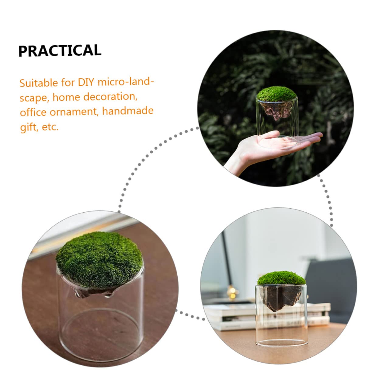 BESPORTBLE DIY Micro Landscape Glass Bottles 2 Pack Moss Plant Terrariums Elegant Decor for Home