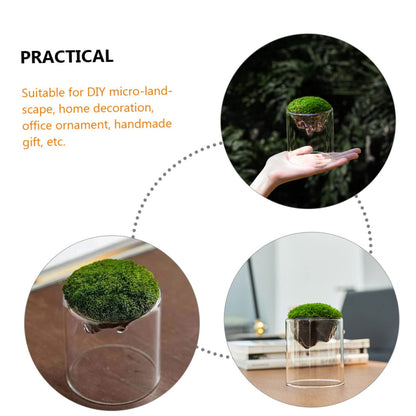 BESPORTBLE DIY Micro Landscape Glass Bottles 2 Pack Moss Plant Terrariums Elegant Decor for Home