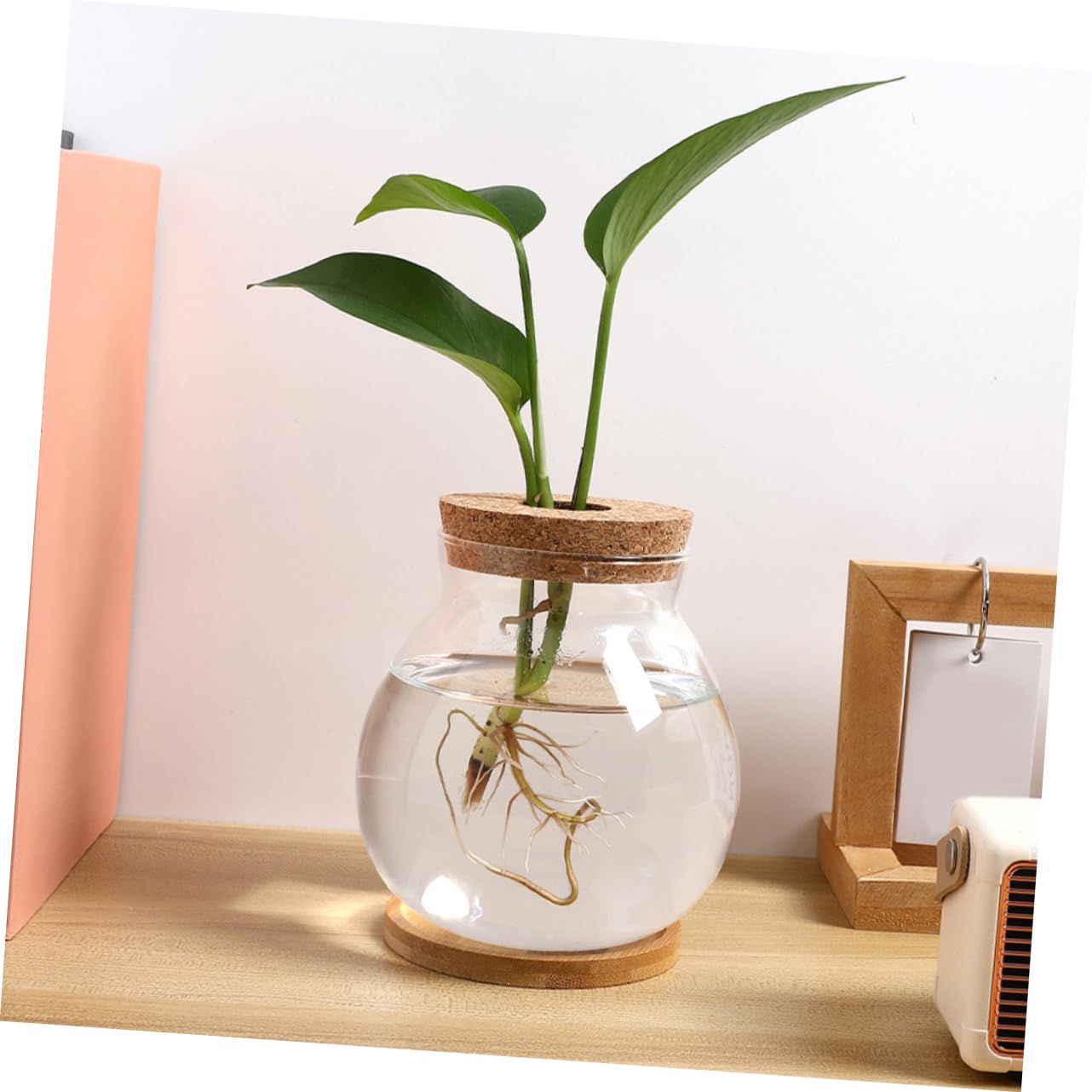 Toyvian Glass Hydroponic Vase with Wooden Base Elegant Propagation Container for Indoor Plants Terrarium Flower Pot for Decor Easy to Clean and Maintain