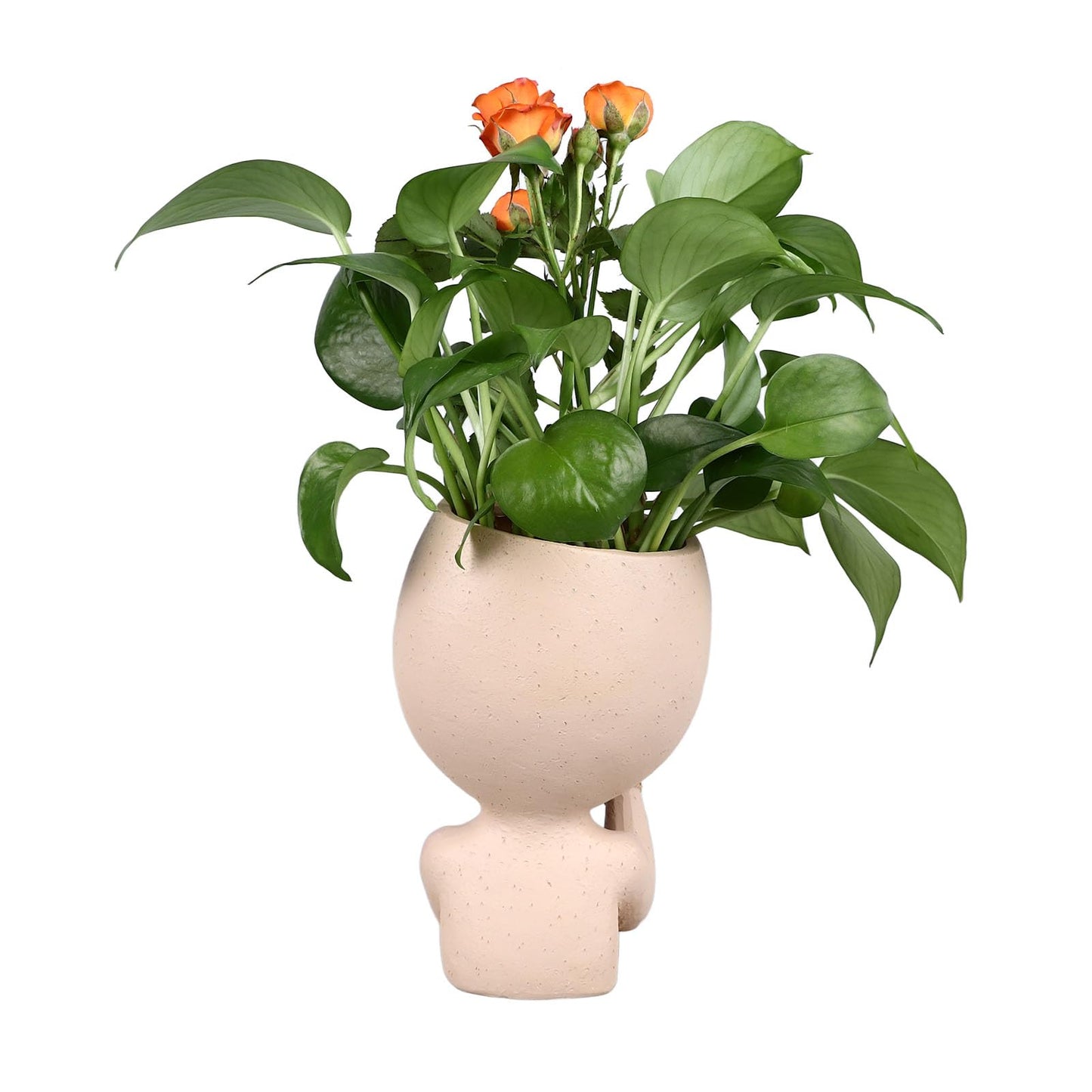 Rjrjc Face Planter Pots Resin Home Head Planter Face Flower Pot Head Planter for Indoor Outdoor Plants with Drainage Hole Sturdy Durable DIY Gift for Garden Balcony Decor