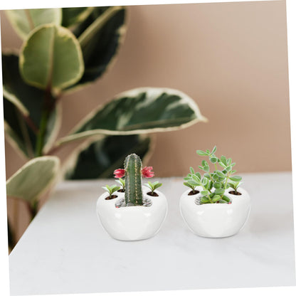 LIOOBO 2pcs Cat Claw Flower Pot Decorative Container with Drainage Cute Cacti Pot for Home Decoration for Room Office Balcony and Desk