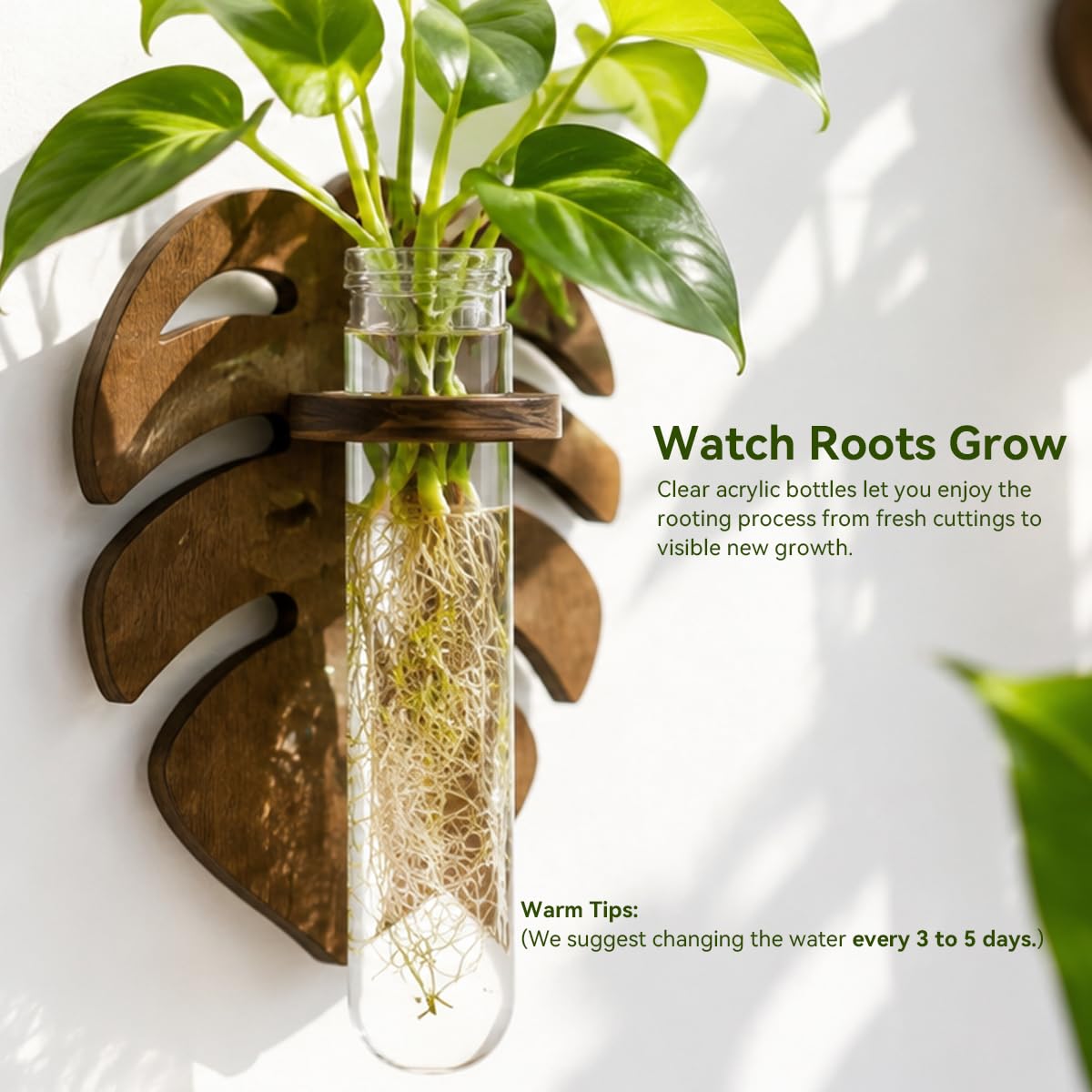Artilady Plant Propagation Station 2 Pack Wall Hanging Plant Terrarium Holder with Test Tube Wood Window Planter Indoor Decor for Living Room Bedroom Kitchen (Leaves)