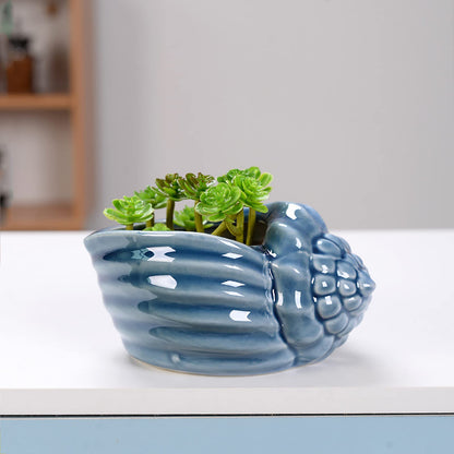Foraineam Succulent Plant Pots, 5.5-6.5 Inch Ceramic Flower Planter Pots, Blue Conch Ocean Seashell Series, Set of 4 Succulent Cactus Plant Container with Drainage Hole