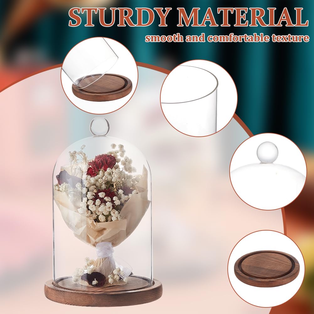 BENECREAT 7x4.5 Inch Glass Dome Cloche with Wooden Base, Rustic Bell Jar Display Clear Glass Bell Cloche for Plants, Fairy Lights or Table Decor
