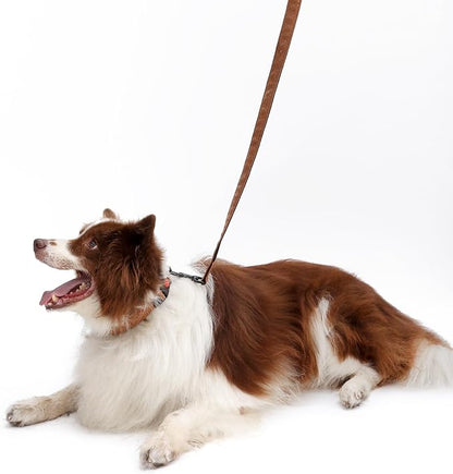 Soft Leather 4ft Dog Collar and Leash Set,Stylish 4ft PU Leather Dog Training Leash, Adjustable Durable Pet Collars with Quick Release Buckle for Large Dogs,Medium Dogs,Terracotta (terracotta, 4 feet)