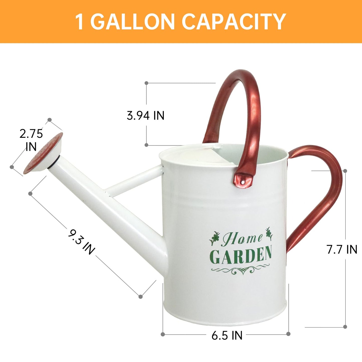 Lechloris Metal Watering Can for Outdoor Plants, Galvanized Steel Watering Can with Removable spout, 1 Gallon,Perfect Home & Garden Décor White