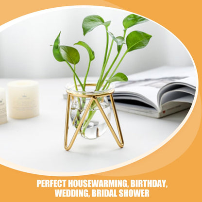 Ipetboom Glass Bulb Planter with Metal Stand, Small Gold Hydroponic Vase for Succulent Propagation, Desktop Glass Vase Holder for Indoor Plant Terrarium and Floral Arrangements