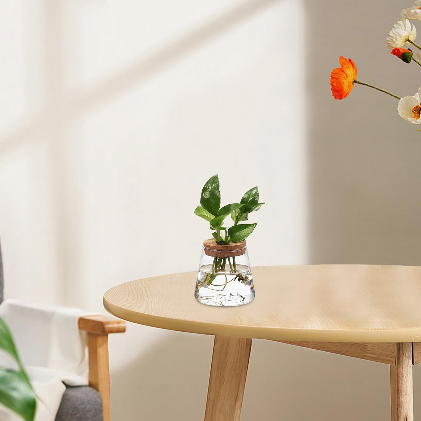Toyvian 3pcs Hydroponic Plant Vases with Smooth, Hammered, and Vertical Textured Volcanic Glass and Wooden Stoppers for Indoor Propagation, Desktop Terrarium, and Office Plant Accessories