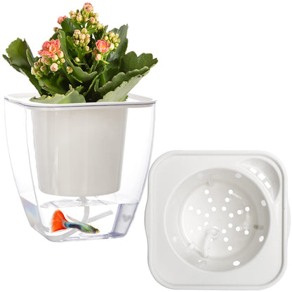Lyellfe 6 Pack Plastic Self Watering Pots, 4 Inch Clear African Violet Pots for Indoor Plants, Automatic-Watering Planter with Drainage, Wick Rope, Windowsill Gardens, Herb, Orchid