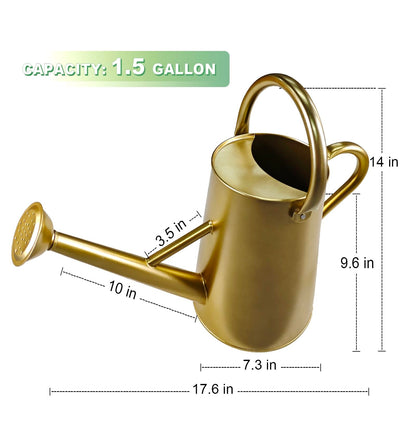 Watering Can for Outdoor&Indoor Plants，1.5 Gallon（5.7L） Metal Watering Can with with Removable Spout，Large Galvanized Steel Garden Flower Water Can Watering Pot with 2 Handles，Gold