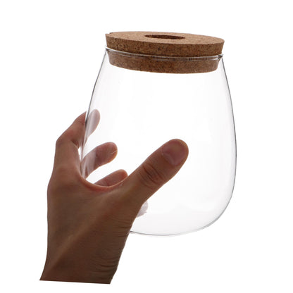FUNOMOCYA Creative Glass Hydroponic Planter Modern Transparent Vase for Indoor Plants Elegant Desktop Propagation Terrarium Glass Aquarium for Spaces and Home Decor