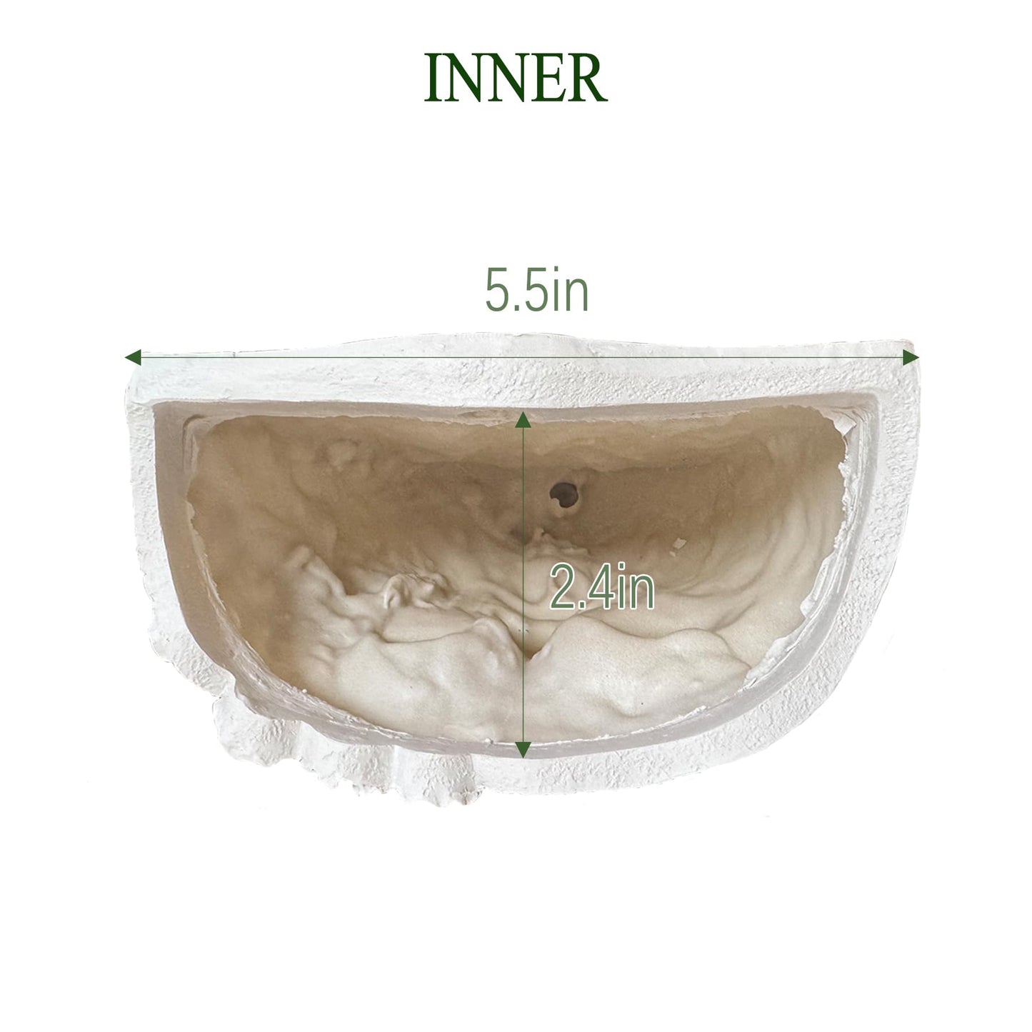 Face Shape Wall Planter Elegant White Resin Wall-Mounted Head Pot with Drainage Hole Unique Small Vase Holder for Succulents, Hanging Plants & Home Decor Beautiful Gift for Plant Lovers