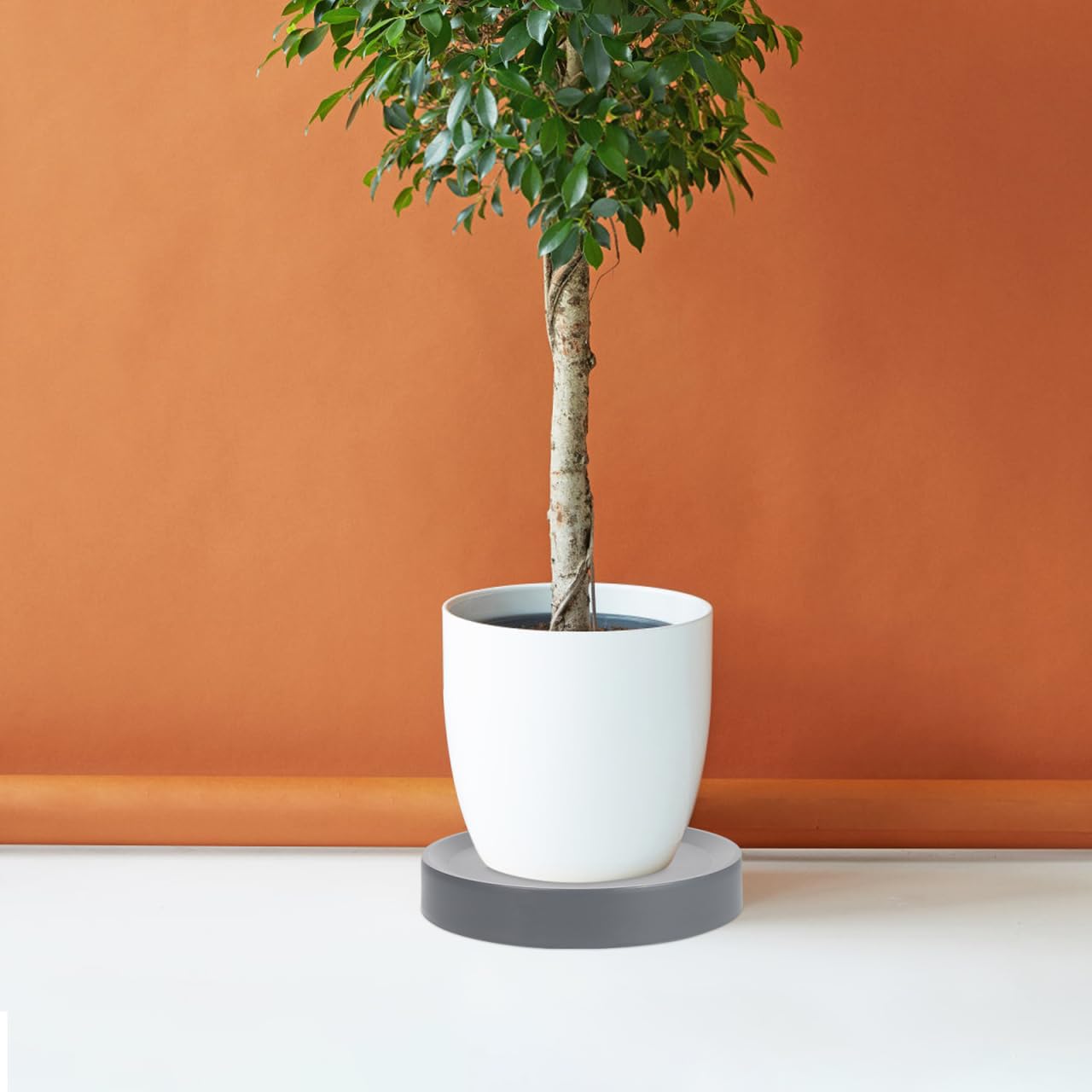 SEWOART Heavy Duty Plant Dolly with Wheels Rolling Plant Stand for Easy Moving Sturdy Plastic Planter Tray for Pots Quiet -directional Design for Indoor and Outdoor Use