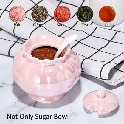Ursword Iridescent Sugar Bowl, Porcelain Salt Cellar with Lid and Spoon, 9oz Sugar Jar for Coffee Bar, Salt Box Sugar Containers for Seasoning, Spice, Sauce, Elegant Decor for Kitchen Countertop