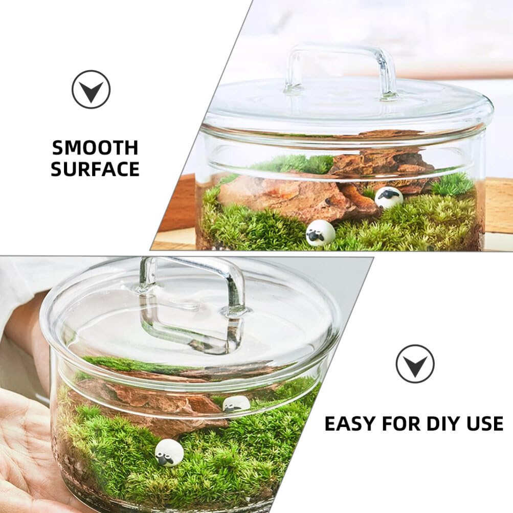 Baluue Creative Jar with Lid Glass Plant Terrarium with Lid Round Fish Bowl Air Planter Bulb Succulent Pot Vase Micro Landscape Bottle for Tabletop Decoration Bud Vases