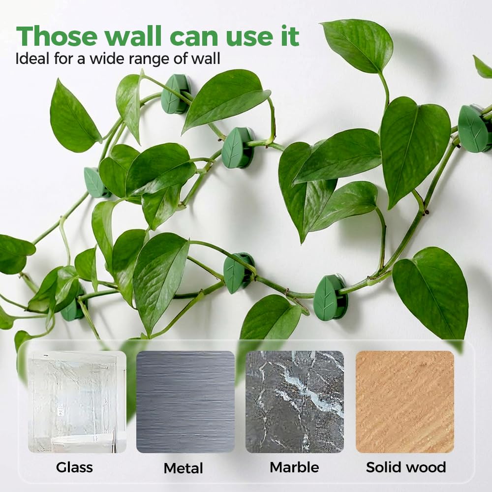 30 Pcs Plant Climbing Wall Fixture Clips with Acrylic Adhesive Stickers, Leaf Fixer Invisible Wall Vines Fixing Clips Self-Adhesive Hook Plant Vine Traction for Indoor Outdoor Decoration (30 Pcs)