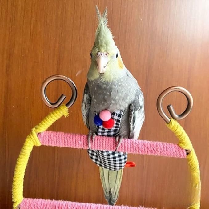 Bird Flight Suits Diapers, Parrot Flight Suits Diapers for Monk Parakeets, Cockatiels Flight Suits, Parrot Clothes, Bird Training Nappy Suit Liners Clothes (Black,Quaker)