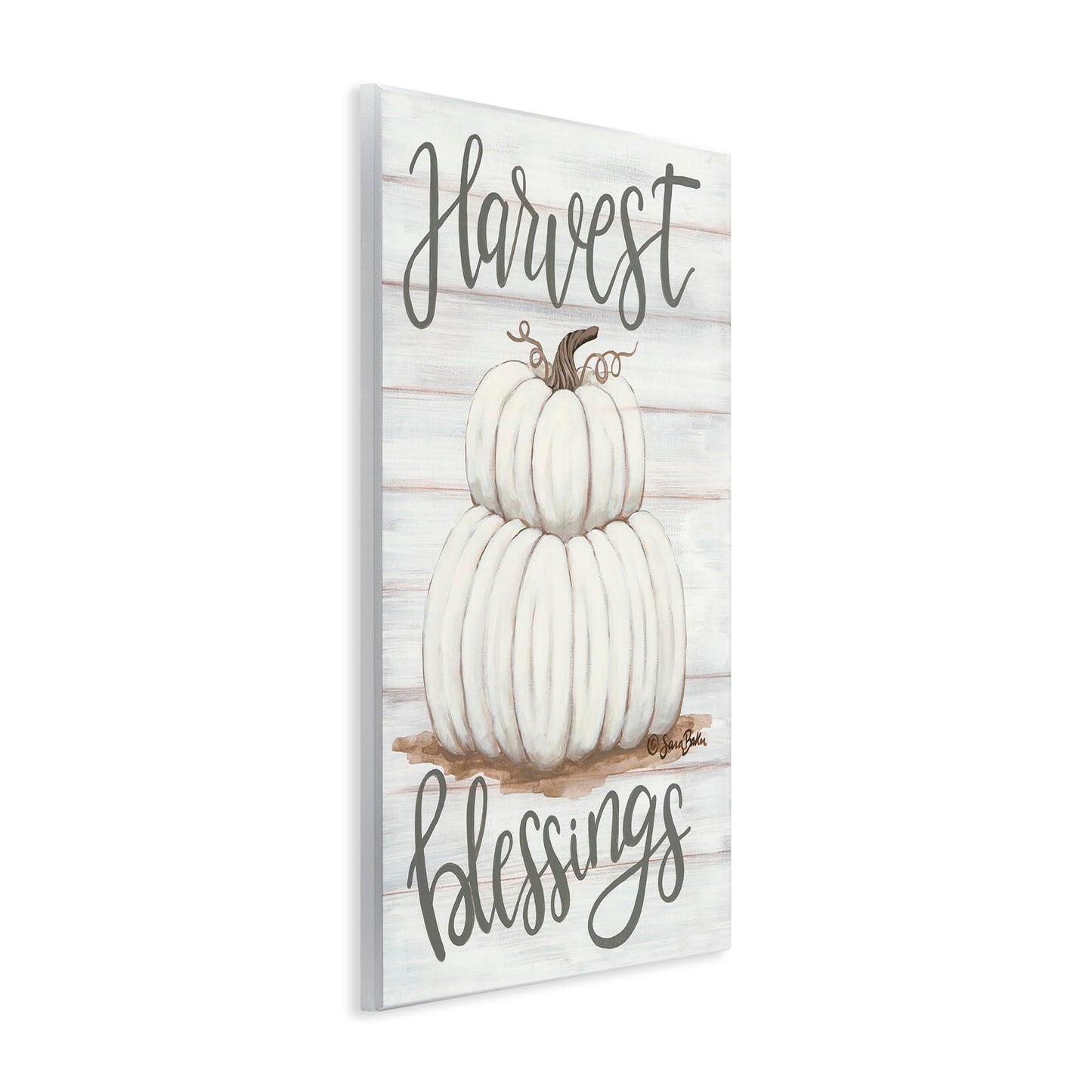 Stupell Industries 'Harvest Belssings White Pumpkins', Wall Plaque Art, 10 x 15 Inches, Easy to Hang and Sturdy, Made in USA, by Sara Baker