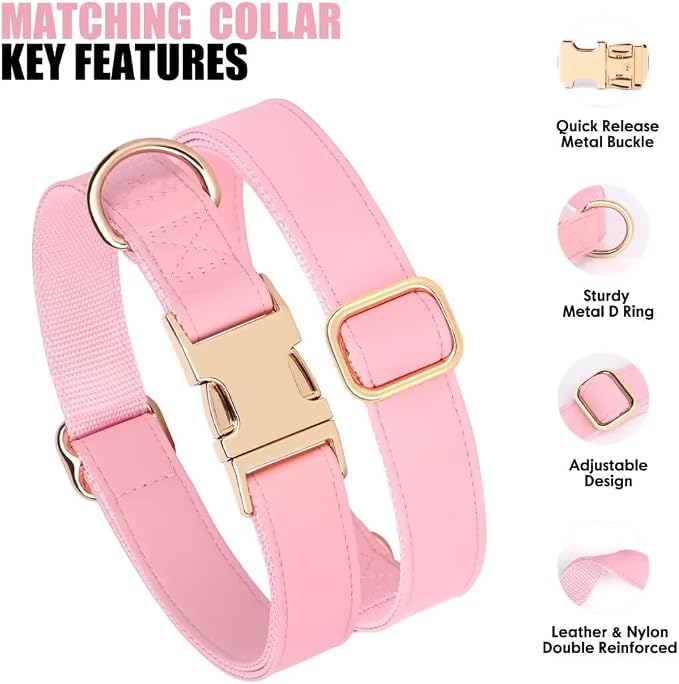 PET ARTIST Soft PU Leather Dog Collar and Leash Set, Bright & Stylish 5FT PU Leather Leash and Collar Set, Durable Pet Collars with Quick Release Metal Buckle for Small Dogs,Pink,S(9"-14")
