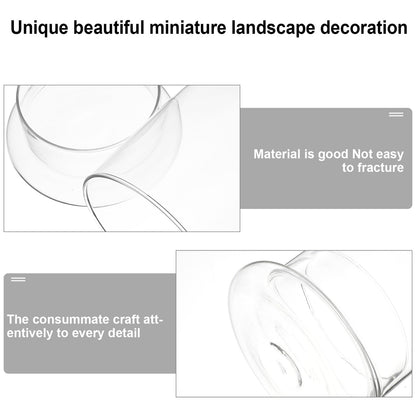 DOITOOL Decorative Glass Terrarium Jar with Ecological Bottle Moss for Home and Office D Cor Clear Glass Cloche Bell Jar for Diy Micro Landscape and Display 6 Inch Height