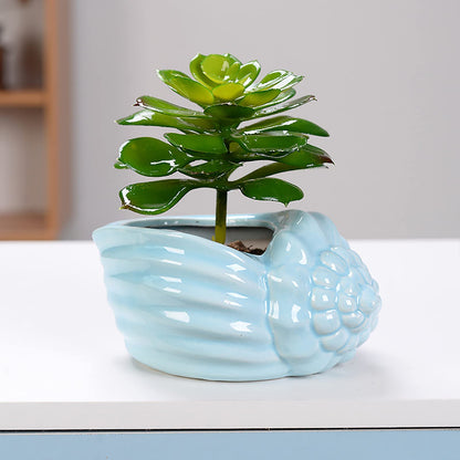 Foraineam Succulent Plant Pots, 5.5-6.5 Inch Ceramic Flower Planter Pots, Blue Conch Ocean Seashell Series, Set of 4 Succulent Cactus Plant Container with Drainage Hole
