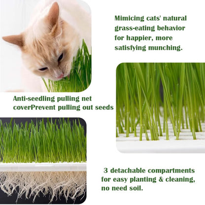 YjiaYjiaY 2-Pack Cat Grass Planter (No Seeds Included), Tri-Section Design, Anti-Pull Out Cat Grass Seed Starter Tray, Sprouts Growing Kit, Microgreens Growing Trays