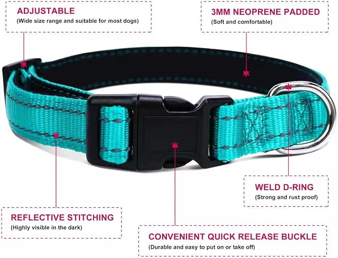 Durable Reflective Dog Collar and Leash Set with Double Layer Nylon, Soft Neoprene Padded Dog Collar with 5ft Strong Pet Leash Easy for Medium Large Dogs Walking,Teal,Neck fit 14.0-23.5’’