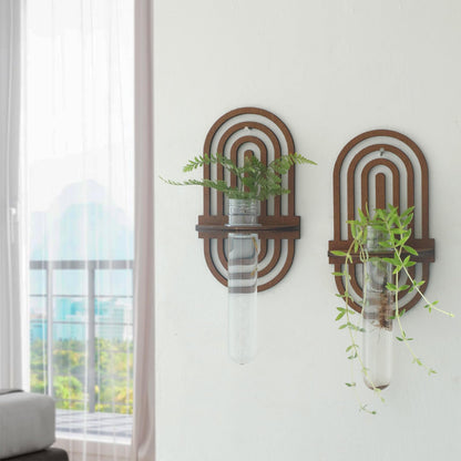 2 Pack Plant Propagation Station Wall Hanging Wooden Shelf Plant Terrarium Rainbow Design for Hydroponics Home Office Decor Test Tube Propagate Air Plant Cutting Holder