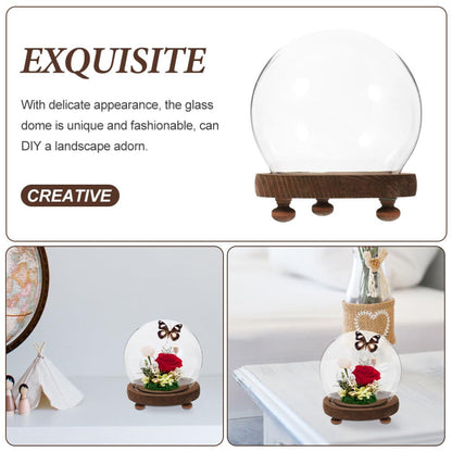MAGICLULU Clear Glass Cloche Dome Bell Jar with Wood Base 10cm DIY Snow Globe Kit Craft Keepsake Display Case Terrarium for Preserved Flower Plant Succulent