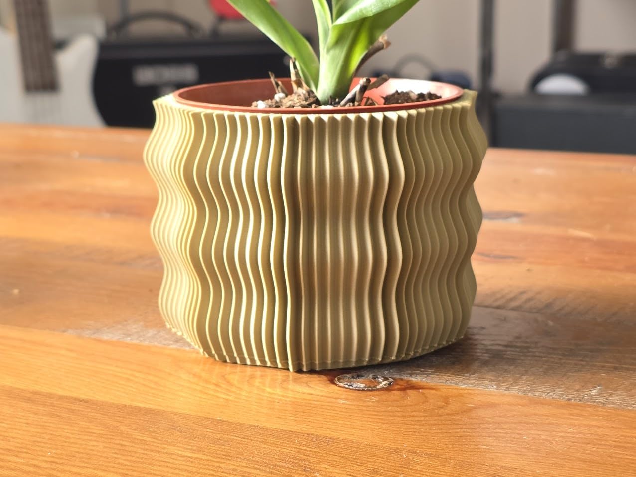 Spiny Wave Indoor Planter with Drain Holes | 3D Printed Modern Geometric Pot for Home & Office | 2" 3" 4" 6" Sizes | Gift for Plant Lovers (Birch, 4")