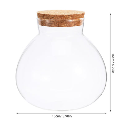 SEWACC Glass Terrarium Jar with Cork Lid, 6 Inch Round DIY Microlandscape Bottle for Plant Terrarium Decor and Airtight Storage, Home Office Kitchen Use