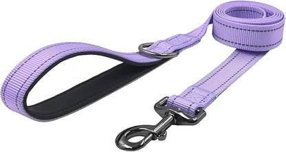 Dog Collar Leash Set,with Relfective Strips,Lilac Purple,Small. | Adjustable Collar,5 ft Matching Leash,Neoprene Padded Handle.