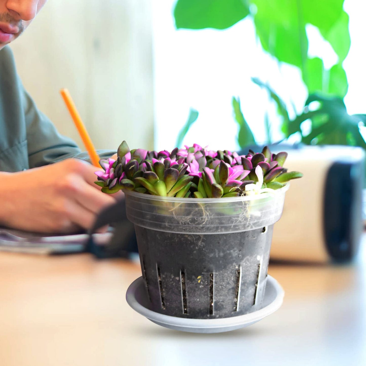 Toddmomy Slotted Orchid Pot with Tray 7.20X7.20X5.94In Clear Plastic Flower Pot for Indoor Gardening and Nursery Plants with Ventilation Holes