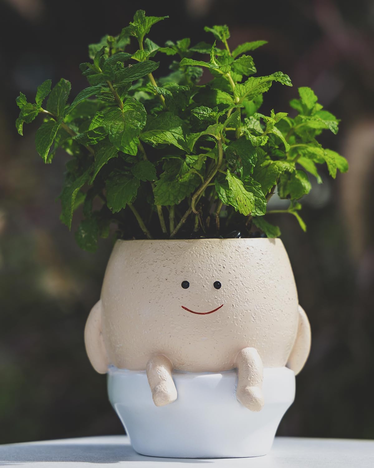 GaloTrek Smily Face Planter Pot Funny Toilet Plant Pots Cute Resin Flower Head Planters Succulent Pots for Indoor Outdoor Plants Unique Bathroom Planter with Drainage Hole (Small)