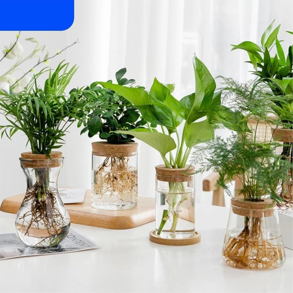 Transparent Hydroponic Flower Pot Creative Mini Terrarium Glass Vase Soilless Green Plant Potted Home Decoration for Table Centerpiece Wedding Home Decor(8.5 * 12cm)