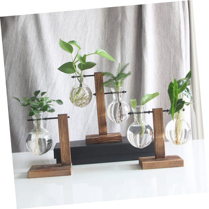 BESPORTBLE 1set Hydroponic Plant Vase Desktop Terrarium for Home Office Decoration Easy to Install Premium Glass for Floral Arrangement