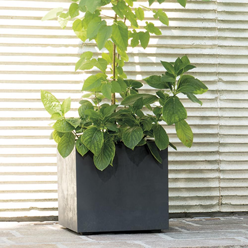Deroma Millennium 10” Cube Planter | Light & Durable Plastic | Indoor or Outdoor Square Pot for Patio/Porch | Includes Water Reserve & Drain Plug | Trendy Planter for Plants, Flowers, Garden | Black