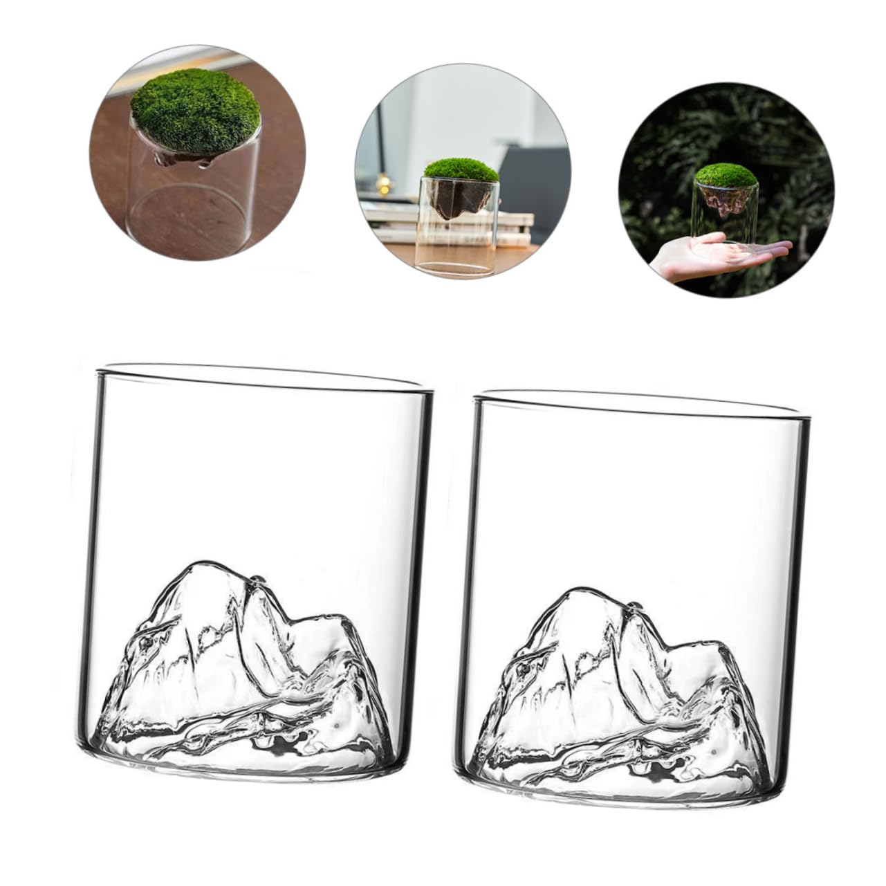 BESPORTBLE DIY Micro Landscape Glass Bottles 2 Pack Moss Plant Terrariums Elegant Decor for Home