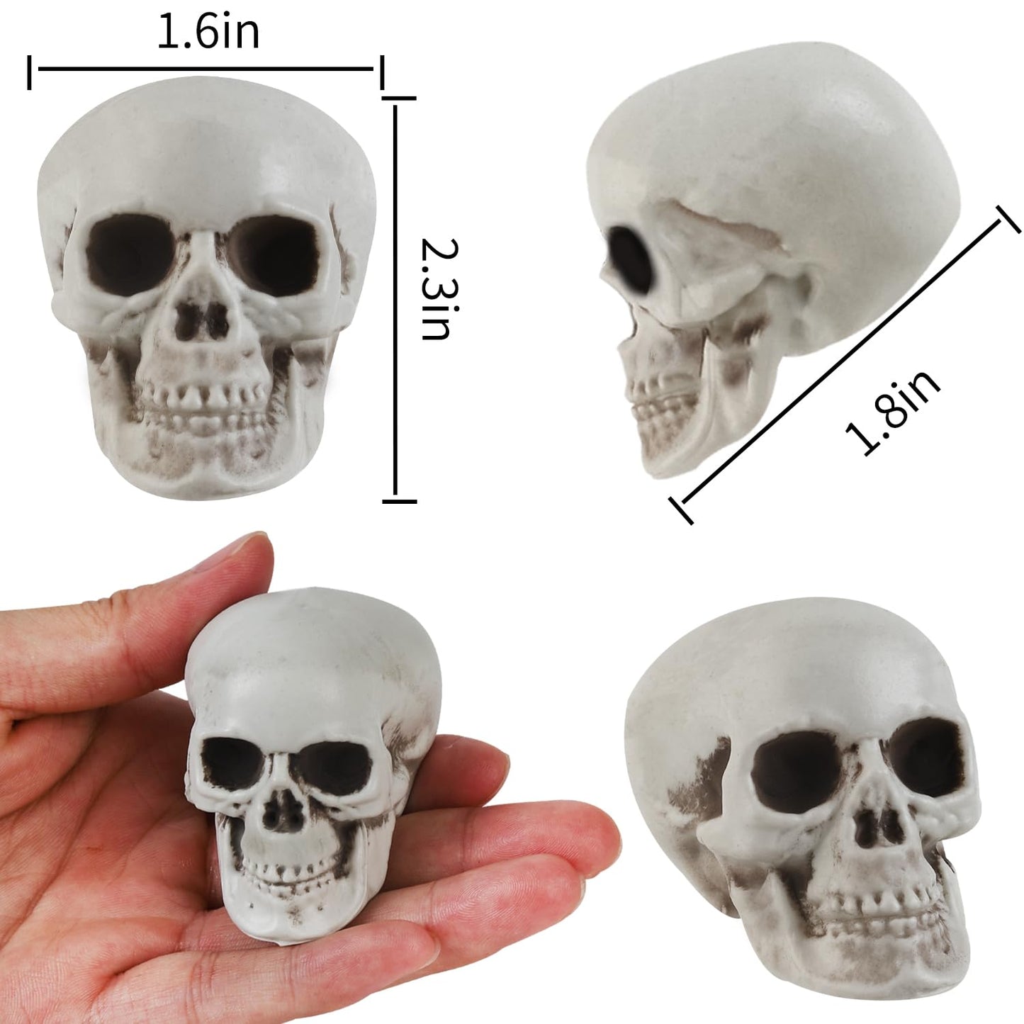 Junware 20 Pcs Halloween Skulls Realistic Looking Skulls Skeleton Head for Halloween Bar Home Table Decoration Model Human Skeleton Statue (1.6 x 1.8 x 2.3 Inches)
