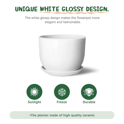 YUFDA 8 Inch Ceramic Planter, Plant Pots with Drainage Hole and Separable Saucer,Indoor-Outdoor Round Succulent Orchid Flower Pot,Indoor pots for Plants(Smooth White,Plant Pot only)