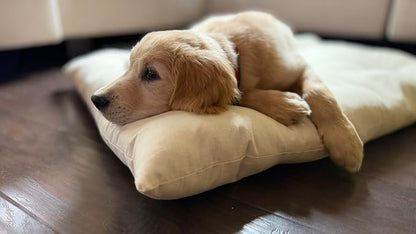 Rectangular Muslin Dog Bed Insert with Raw Cotton Filler, Natural Pet Bed Cushion Insert, Breathable Inner Pillow for Dog Bed Covers (Medium 36"x22"x4")