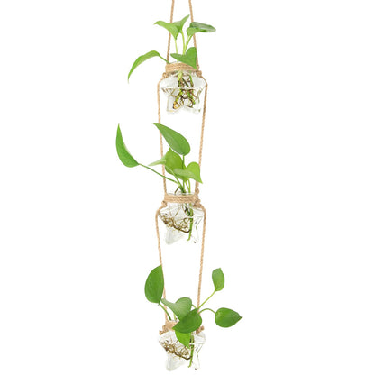XXXFLOWER Wall Hanging Propagation Station，3 Tiers Star Shaped Glass Flower Vase for Hydroponic Planter Terrarium for Plant Cutting Home Office Living Room Garden Decor