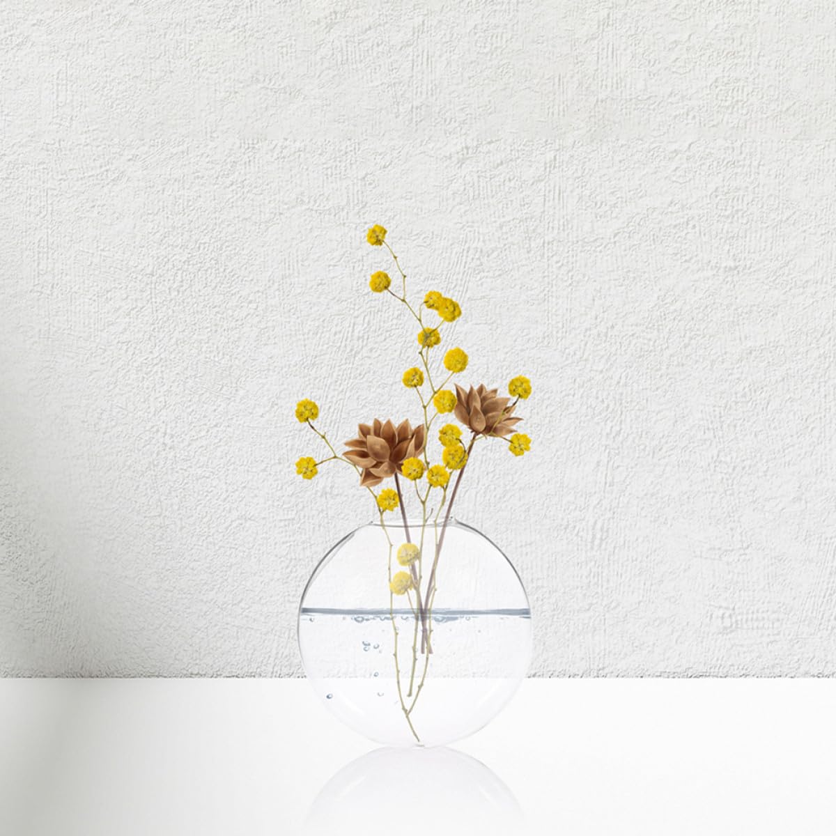 Homoyoyo 2pcs Glass Wall Hanging Hydroponic Vase Set, Flat Glass Planter for Indoor Plants, Decorative Wall-Mounted Terrarium Container for Home and Office