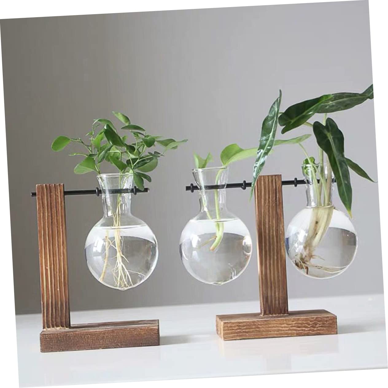 IWOWHERO 2pcs Elegant Hydroponic Plant Terrarium Stand Glass Vase Wooden Base Easy to Assemble for Home Office Decor