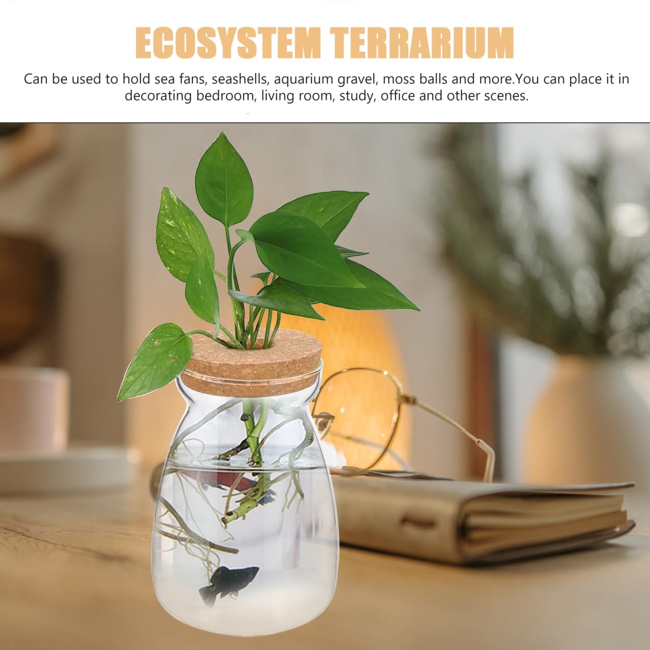 ULTECHNOVO Large Glass Plant Terrarium with Hole Lid - 6.3" Trapezoid Hydroponic Propagation Vase - Clear Desktop Planter Station for Indoor Water Plants, Monstera, Pothos Cuttings
