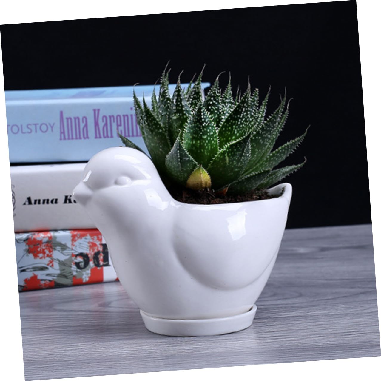 Kisangel Ceramic Flower Pot Succulent Plant Container White Large Bird Shape with Saucer Indoor Desktop Decor for Home Gardening