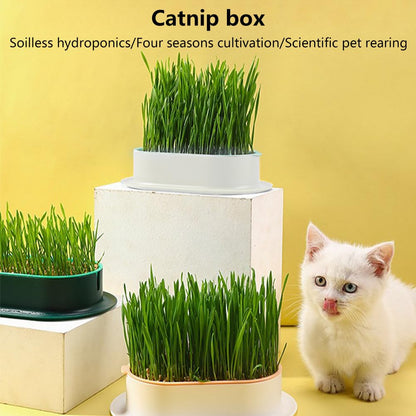 Londehuhai 3pcs Cat Grass Planter, Plastic Catnip Cat Grass Box Wheatgrass Planting Trays Hydroponic Ca-t Gras-s Growing Kits Nursery Ca-t Plant Garden Pots for Indoor/Outdoor Use(Color:3)