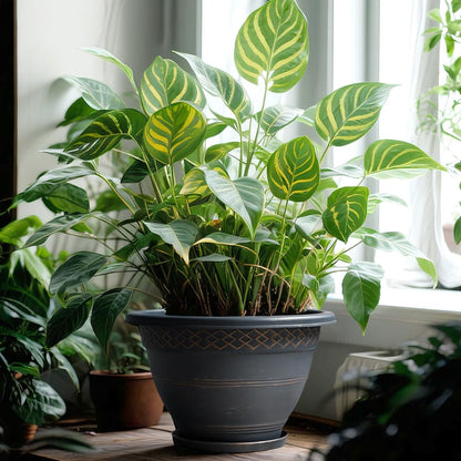 Usocik 12 Pack 10 Inch Retro Plant Pots with Drainage Holes and Saucer for Indoor Outdoor Plants.
