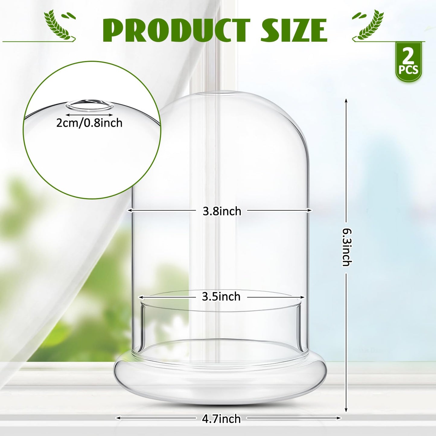 Perthlin 2 Pcs 4.7 x 6.3 Inch Glass Terrarium Clear Terrarium Planter Container Glass Dome Cloche with Airhole and Base for Plant Flower Home Tabletop Display Centerpiece, Plants Not Included